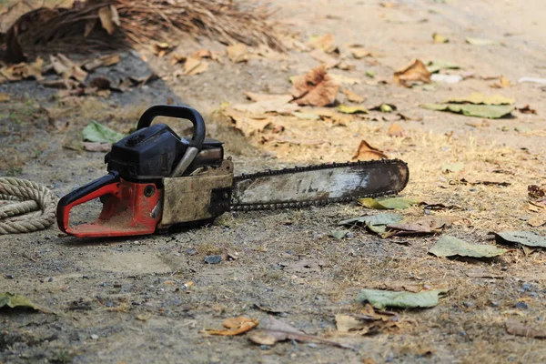 People are cutting down trees with a chainsaw engine.