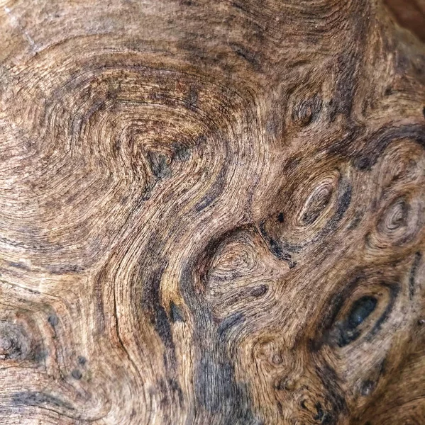 Corteza Vieja Textura Madera Hermosos Patrones Naturales — Foto de Stock