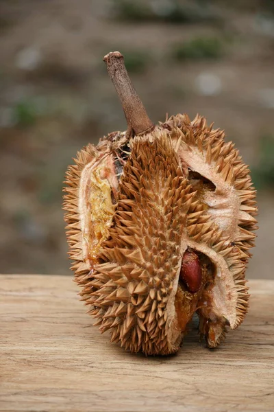 Durian fruit is rotten on the wood floor.