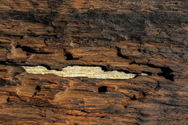 旧木地板 真木纹 天然的老木纹 用作背景 乡村风格 — 图库照片