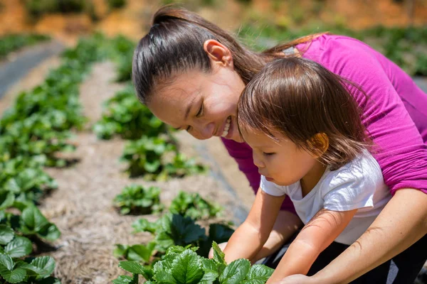 A mother teaching her child how to grow plants and veggies in a garden. Raising and caring for a organic farm.