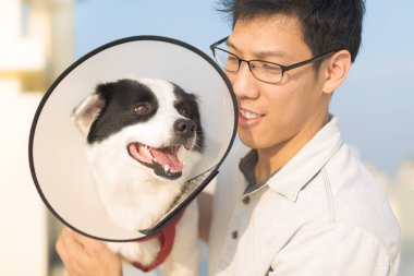 Dog with his owner at the vet. Neutering. clipart