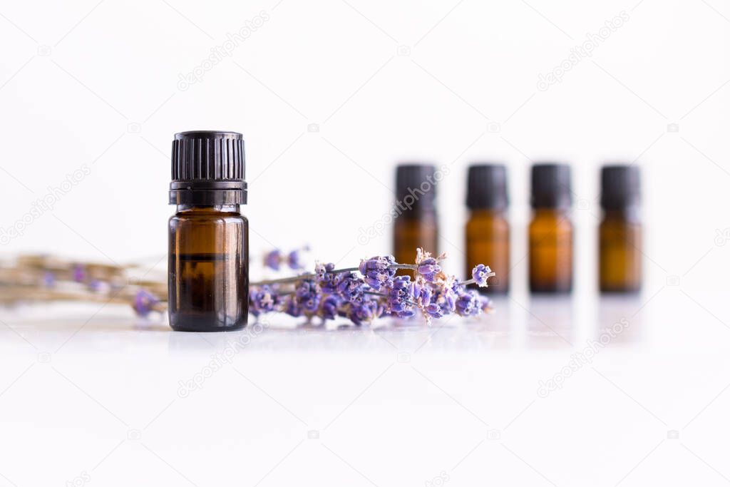A row of essential oil bottles with lavender flowers and white background.