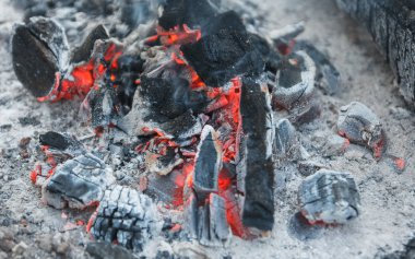 Bir piknik bir yemek pişirme sonra kamp ateşi içinde yanmış odun sıcaktan günlükleri