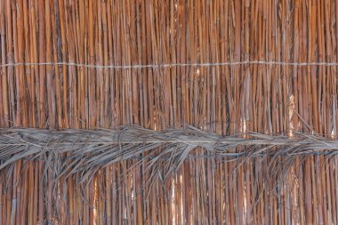 Kuru doğa bulrush arka duvarına yakın çekim. Kurutulmuş doğal sazlık dokusuna.
