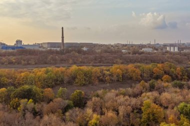 Renkli sonbahar yaprakları drone havadan görünümden. Sarı ve yeşil renkte Woods güzel arka plan.
