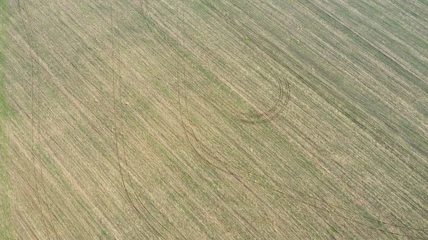 Aerial view from the drone autumn field surface in the countryside.