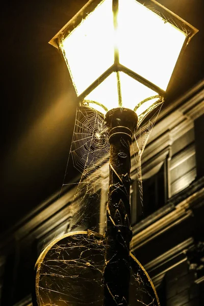 Straßenlaterne Sepia Schwarz Weiß Tönen Mit Einem Großen Spinnennetz Unter — Stockfoto
