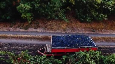 Üzüm bağ hava video de yol ile tam kamyon