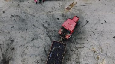 Şaraphane kırmızı üzüm taşıyan bir kamyon panoramik görünümü