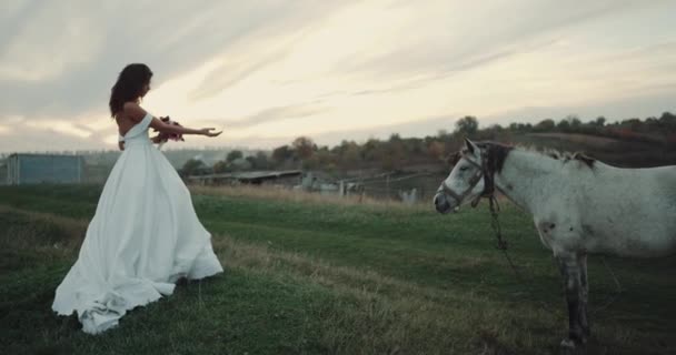 Vista perfeita com noiva e cavalo bonito branco no meio da natureza.4k — Vídeo de Stock