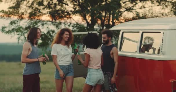 Genç çocuklar mutlu ve gülümseyerek birbirine bakarak piknik Grup, bira içmek. — Stok video