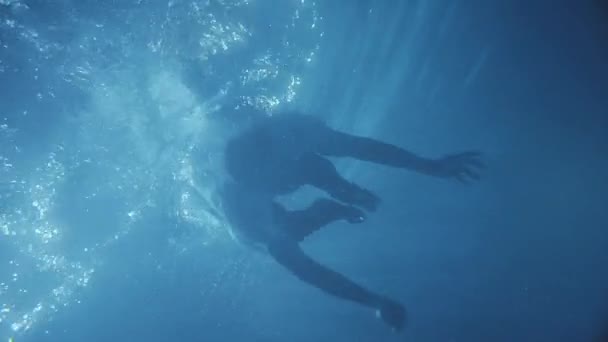 Un hombre con una barba nadando bajo el agua y mirando directamente a la cámara muestra lo grande como . — Vídeos de Stock