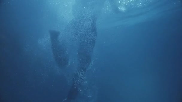 Muž plavání pod vodou v tmavých fondu s někteří světla padá do vody. — Stock video