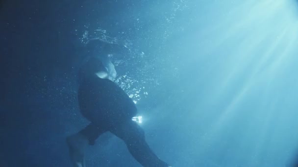 Plavání mladý muž oblečený ve vodě, v noci, svitu měsíce vidět ve vodě. — Stock video