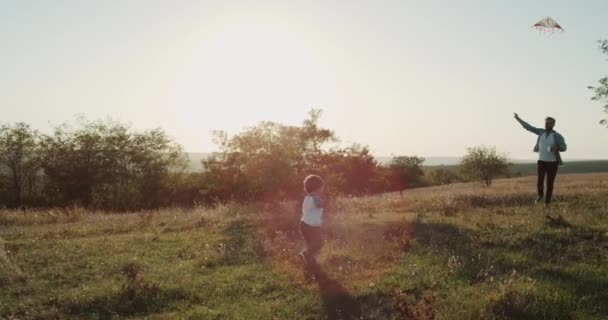 Papai com seus dois filhos brincando com um papagaio no meio do campo de flores. 44 k. movimentos lentos — Vídeo de Stock