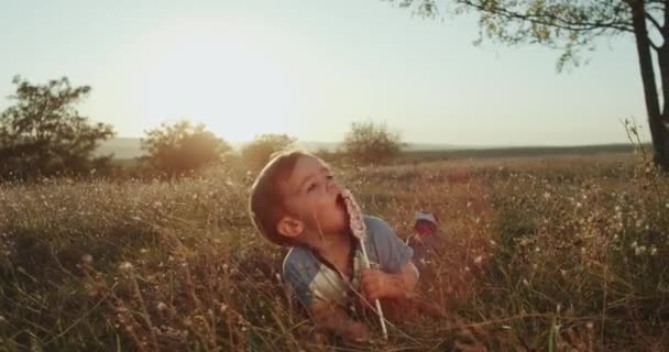 自然の草の上を敷設ロリポップを食べるかわいい男の子美しい夕日. — ストック動画