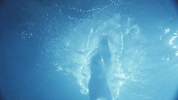 Κάτω από την κάμερα του νερού, μια κυρία άλματα προς το σκοτεινό νερό, ντυμένος με ένα μαύρο φόρεμα, ξεκινώντας κολύμπι, κάποιο φως του ήλιου πέφτει στο νερό. — Αρχείο Βίντεο