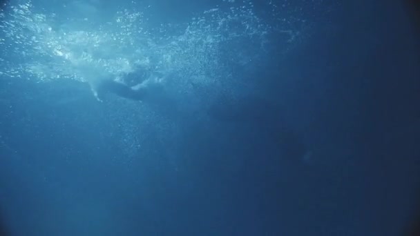 Un hombre nadando sobre su espalda, en el agua oscura de la piscina, la cámara está dentro del agua . — Vídeos de Stock