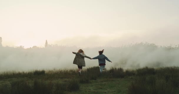 Dvě dívky drží navzájem a mají velký čas spolu v krásné přírodě. — Stock video