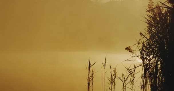 Atardecer amarillo natural y hermoso horizonte del lago , — Vídeos de Stock