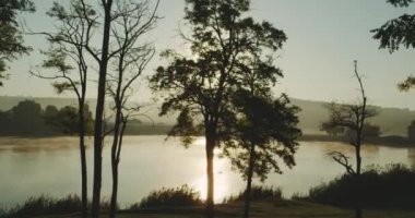 Görkemli ağaçları ve yükseltilmiş woods, parlak ve altın Güneş'ten gelen bir sıcak sesi ile.