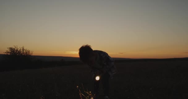 Drie jaar jongen bij zonsondergang spelen met een zaklamp door het gras. — Stockvideo