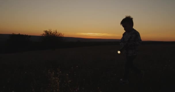 Ein netter Junge, der bei Sonnenuntergang mit einer Taschenlampe durch das Gras spielt. — Stockvideo