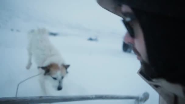 Dans l'Arctique, un homme équipé joue avec un chien qui est seul au milieu de la toundra . — Video