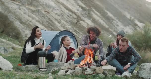 Adolescentes têm um bom tempo de acampamento na frente da fogueira, relaxando o tempo bebendo vinho e fazendo marshmallows em chamas . — Vídeo de Stock