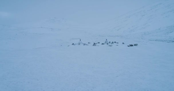 Velký tábor jurty uprostřed Arctic s DRONY. — Stock video