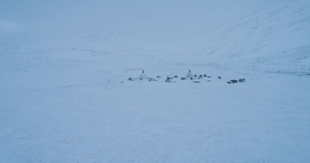 Grand camp de yourtes au milieu de l'Arctique prenant avec drone . — Video