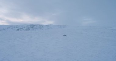 Dronun Tundra yurts Yamala kampı video yakalama.