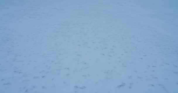 Por la tarde el vídeo tomando con el dron el campamento grande de las yurtas en Siberia. 4k — Vídeos de Stock