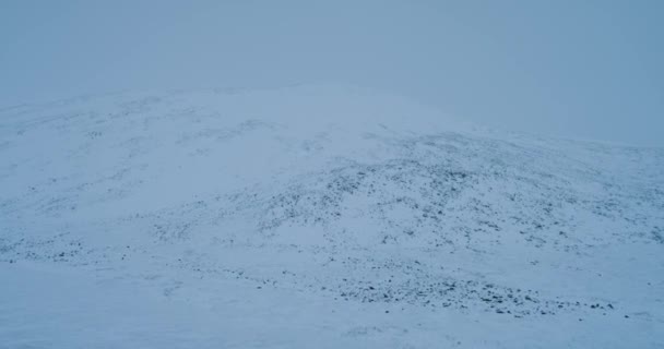 In het midden van de toendra in het Noordpoolgebied een grote kamp van yurts met rendieren drone vastgelegde vorm boven. — Stockvideo