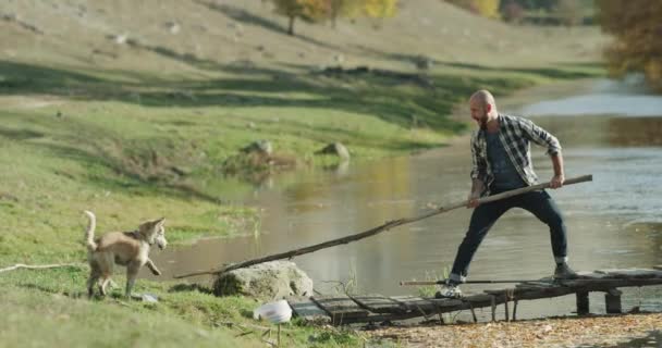 Hombre calvo con una barba grande jugando con su perro bebé husky al lado del lago . — Vídeos de Stock