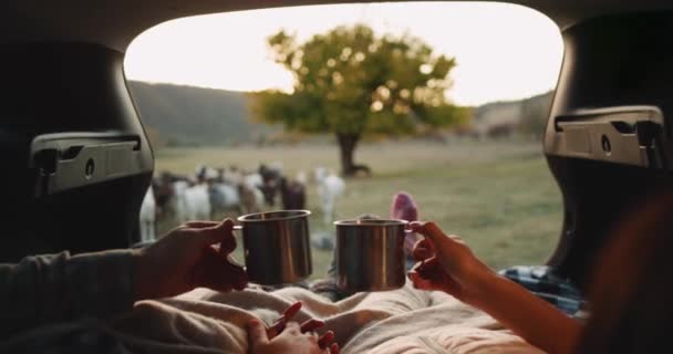 Romantic couple have a nice time at countryside they are in the car trunk and happy drinks tea wearing a cozy socks looking at goat herd who are passed beside of them — Stock Video