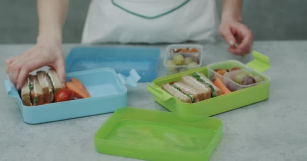Porträtt av hälsa matlåda för barn med grönsaker smörgåsar och vissa nötter för att ta i skolan. — Stockvideo
