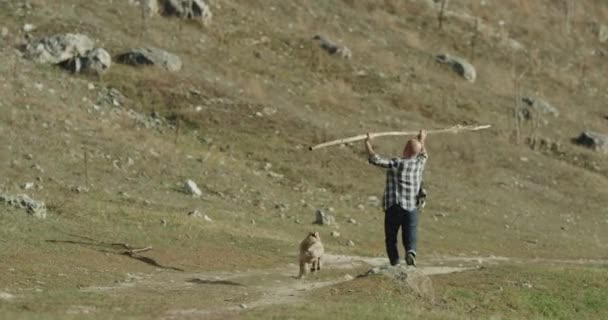 Een schattige husky hond met zijn meester in de natuur spelen samen met een stok. — Stockvideo