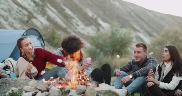 Amigos carismáticos divertidos se divierten juntos en acampar, sentados todos juntos en la fogata comiendo malvaviscos y bebiendo vino. 4k — Vídeo de stock