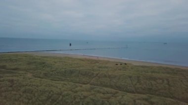 Uçak en iyi deniz tarafındaki yeşil alanı, üç kişi binmek at bir plajın yanında esir alma video.