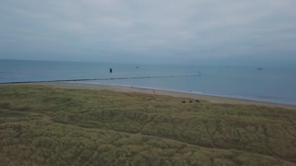 Drone videóinak elfog-ból felső tengerre néző, egy zöld területen, három ember lovagol a ló mellett, a strand. — Stock videók