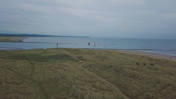 Amazing video capturing with drone from the top of a lake and green field, people ride the horses around. — Stock Video