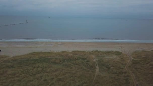 Sea side with a green field and beach capturing air video with drone, on a autumn day . — стоковое видео