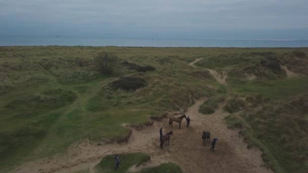 Ludzie Przygotuj się na przejażdżkę z końmi w środku zielony pole wideo od góry powietrza przechwytywania wideo z drone. — Wideo stockowe