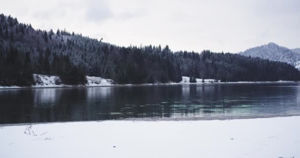 Wideo przechwytywanie niesamowity widok krajobrazu dużego jeziora i ośnieżone lasy, turysta spaceru wokół brzegu jeziora w zimowy dzień — Wideo stockowe