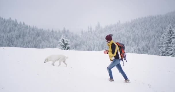 Человек идет по снегу в верхней части снежного леса с белой горной собакой позади, удивительный вид вокруг — стоковое видео