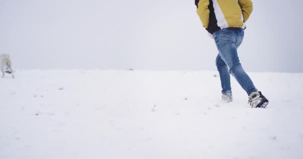 눈 덮인 날에 산 꼭대기에있는 개에게 눈을 통해 사람을 걷고, 아름다운 겨울 외부 — 비디오