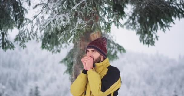 Χαρισματικός τουριστικός Ταξιδεύοντας στο βουνό σταμάτησε για λίγο κάτω από το μεγάλο χιονισμένο δέντρο χαρούμενος που απολαμβάνει τη στιγμή και το τοπίο γύρω — Αρχείο Βίντεο