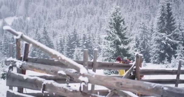 Пешком турист в середине горы он остановился на перерыв под большим снежным деревом в красивый зимний день, удивительный вид вокруг — стоковое видео